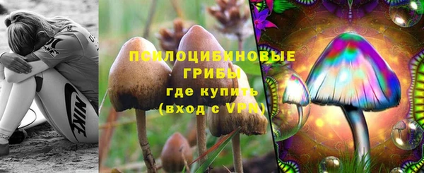 MESCALINE Верея