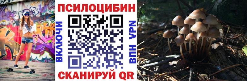 ссылка на мегу ССЫЛКА  Староминская  Псилоцибиновые грибы Psilocybine cubensis  где можно купить  